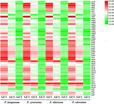 Analysis of codon usage patterns in complete plastomes of four medicinal Polygonatum species (Asparagaceae)